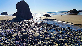 Re's waterfall filters out into the Pacific Ocean.