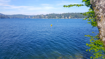 Walking around Lake Arrowhead.