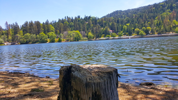 Starting my hike around Lake Gregory.