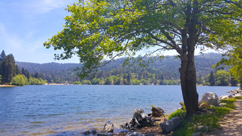 One of my favorite spots on Lake Gregory.