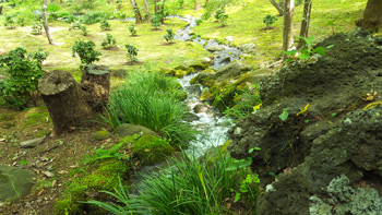 A stream winds its way down through the woods, towards a large pond.