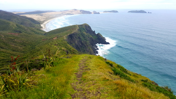 A dirt pathway high atop Cape Reinga with views of the sea.