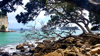 A delightful little inlet on the Stingray Bay side path.