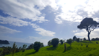 Re's tree peacefully perched atop the hill.