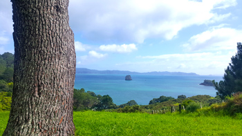 As you can see, the views from her tree are simply stunning.