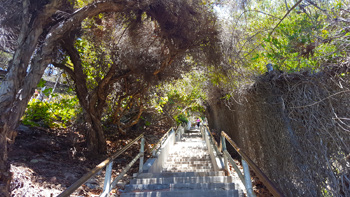 Later that afternoon, after an emotional day, it was time to make the long climb back up the staircase and head home.