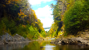 Looking up towards the Quechee Gorge bridge.