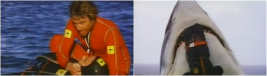 EAT A BOMB, SHARKY!