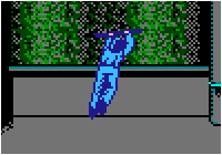 Dive! Dive! Dive!