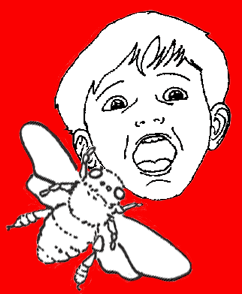bzzzzzzzzzzz