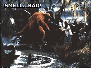 SMELL.... BAD!