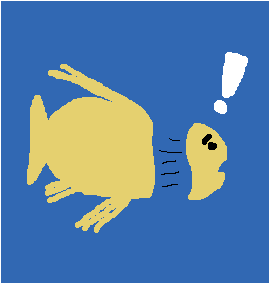 As you can imagine, John Dory's don't have a long life expectancy